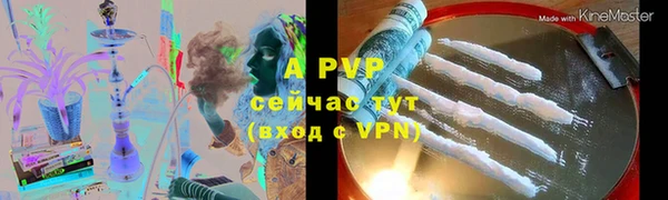 крисы Алзамай
