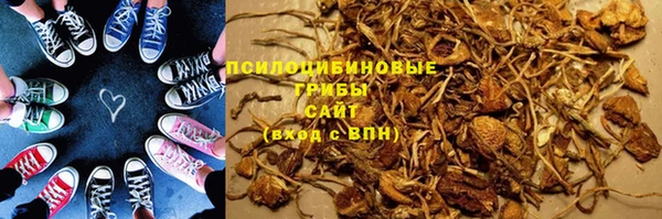 крисы Алзамай