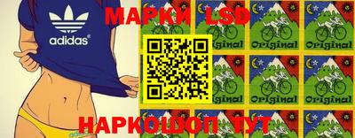 гашик Донской