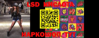 гашик Донской