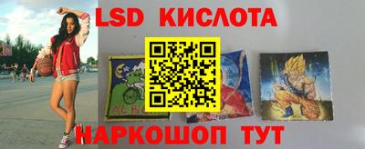 гашик Донской