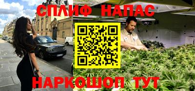 гашик Донской