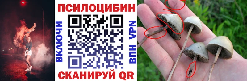 Галлюциногенные грибы GOLDEN TEACHER  darknet клад  Мичуринск 