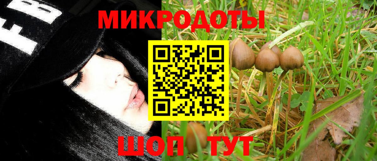 Мичуринск  Псилоцибиновые грибы мухоморы  Псилоцибиновые грибы мухоморы  Вход с VPN 