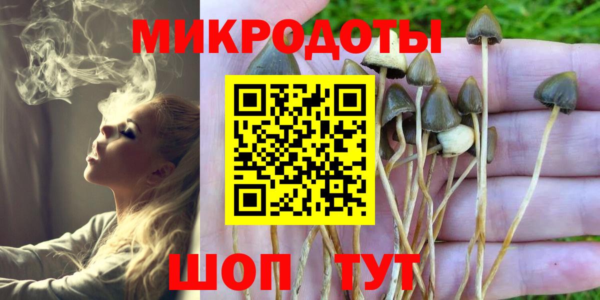 Галлюциногенные грибы MAGIC MUSHROOMS Мичуринск